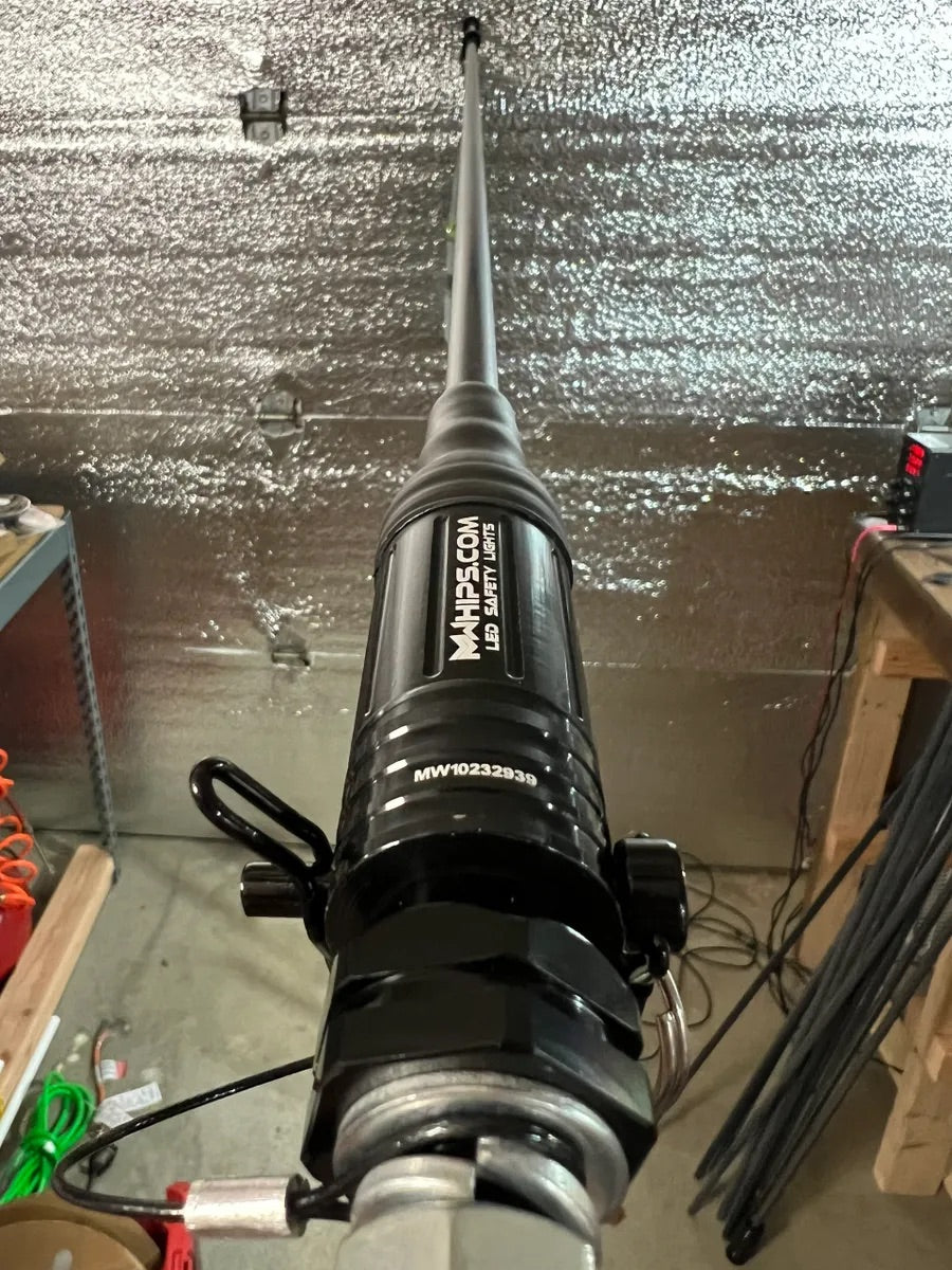 BUDGET FRIENDLY DAY WHIPS ROD