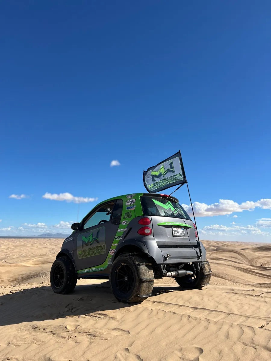 BUDGET FRIENDLY DAY WHIPS WITH FLAGS