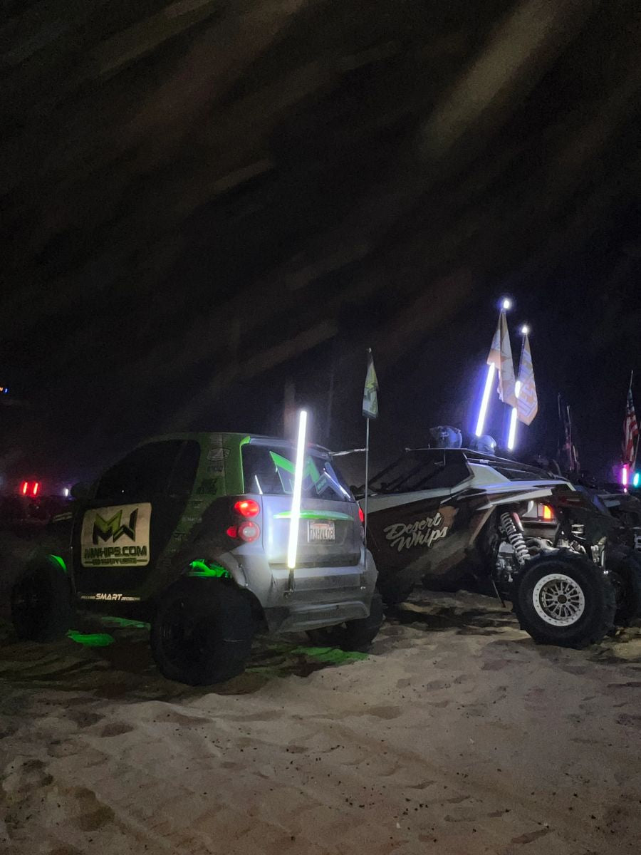 COLOR CHANGING WHIPS - Single - Mwhips