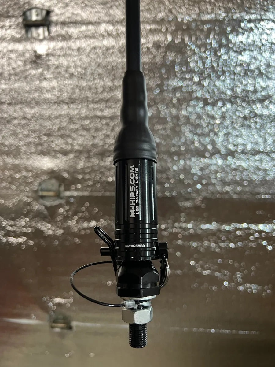 BUDGET FRIENDLY DAY WHIPS