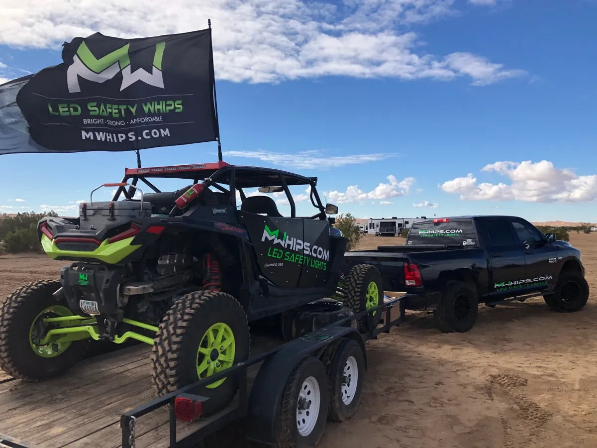 BUDGET FRIENDLY DAY WHIPS