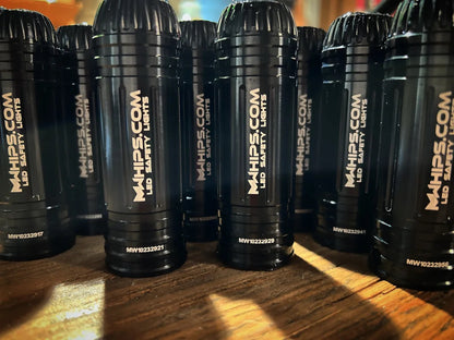 BUDGET FRIENDLY DAY WHIPS