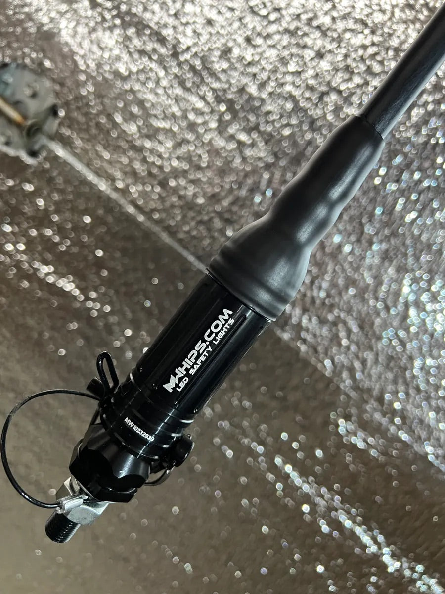 BUDGET FRIENDLY DAY WHIPS