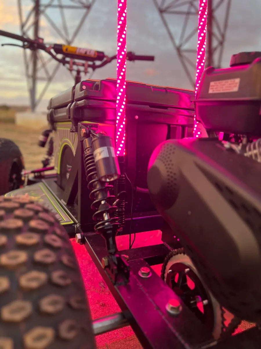 T2 COLOR CHANGING WHIPS - PAIR