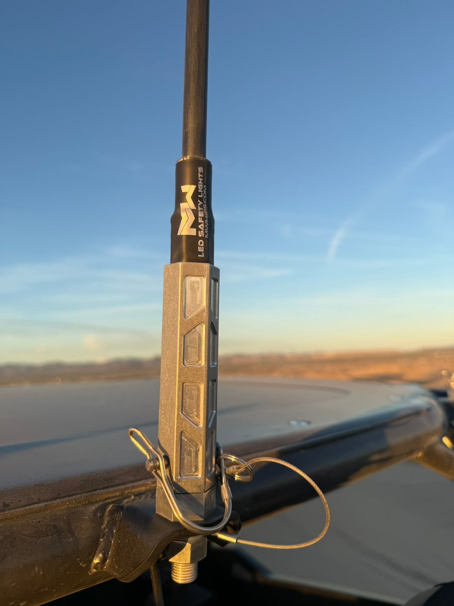 MURRAY FREEDOM DAY WHIPS - NO LEDS