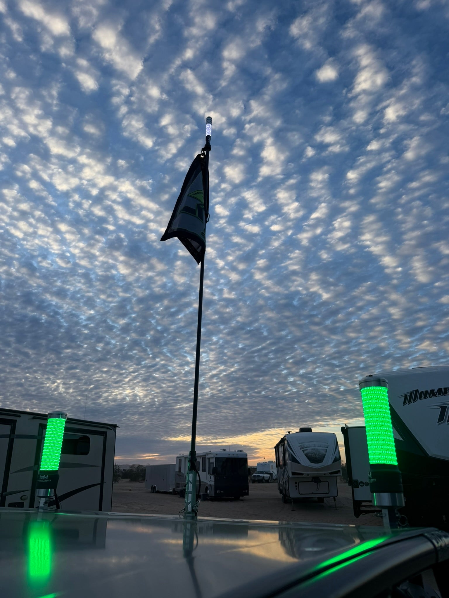 MURRAY DONKEY WHIPS GREEN PAIR