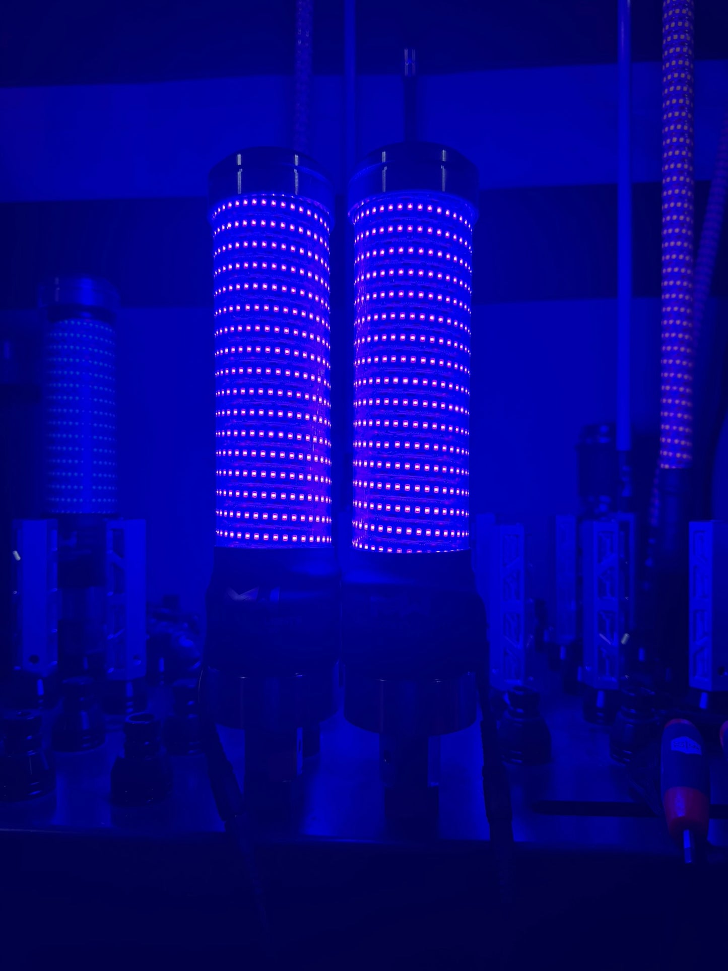 MURRAY DONKEY WHIP BLUE PAIR