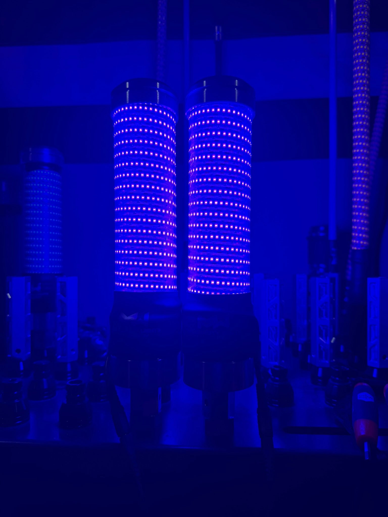 MURRAY DONKEY WHIP BLUE PAIR