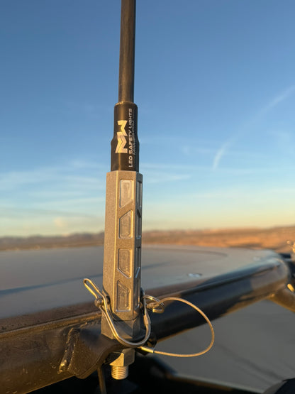 MURRAY FREEDOM DAY WHIPS BASE