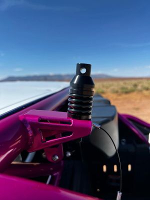 X-STIFF SHORT WHIP SPRING - Mwhips