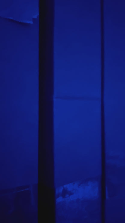 COLOR CHANGING DONKEY WHIP - PAIR